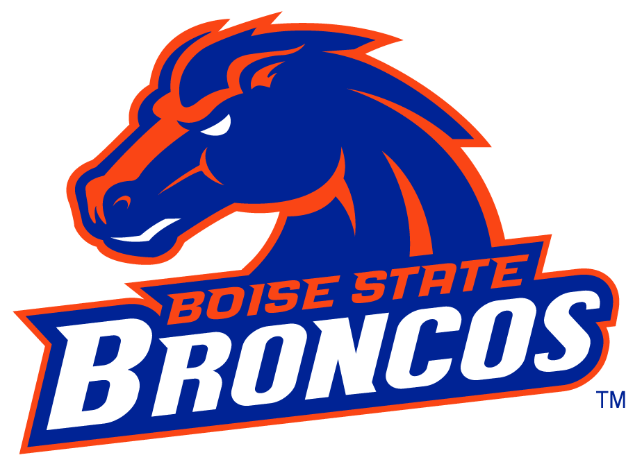 Boise State Broncos 2002-2012 Secondary Logo v10 DIY iron on transfer (heat transfer)